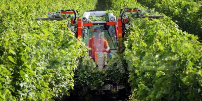 product gallery photo