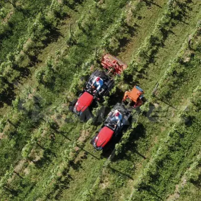 product gallery photo