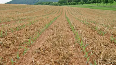 product gallery photo