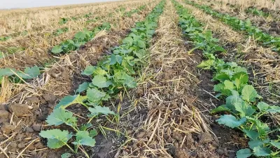 product gallery photo