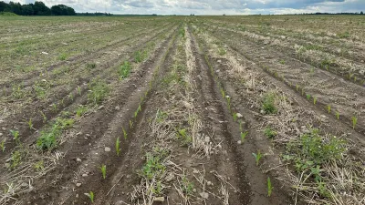 product gallery photo