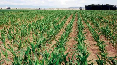 product gallery photo