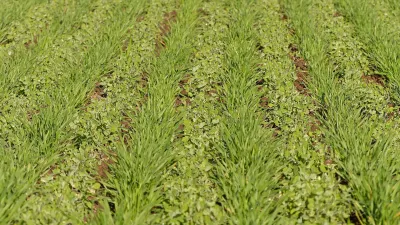 product gallery photo