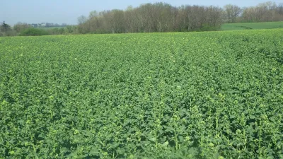 product gallery photo