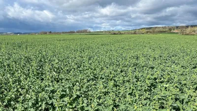 product gallery photo