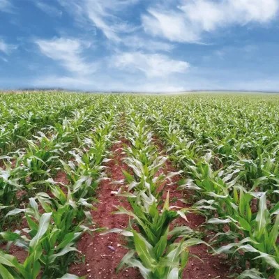 product gallery photo